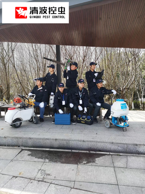 鎮江殺蟲公司 全方位害蟲治理服務，守護您的健康與安寧